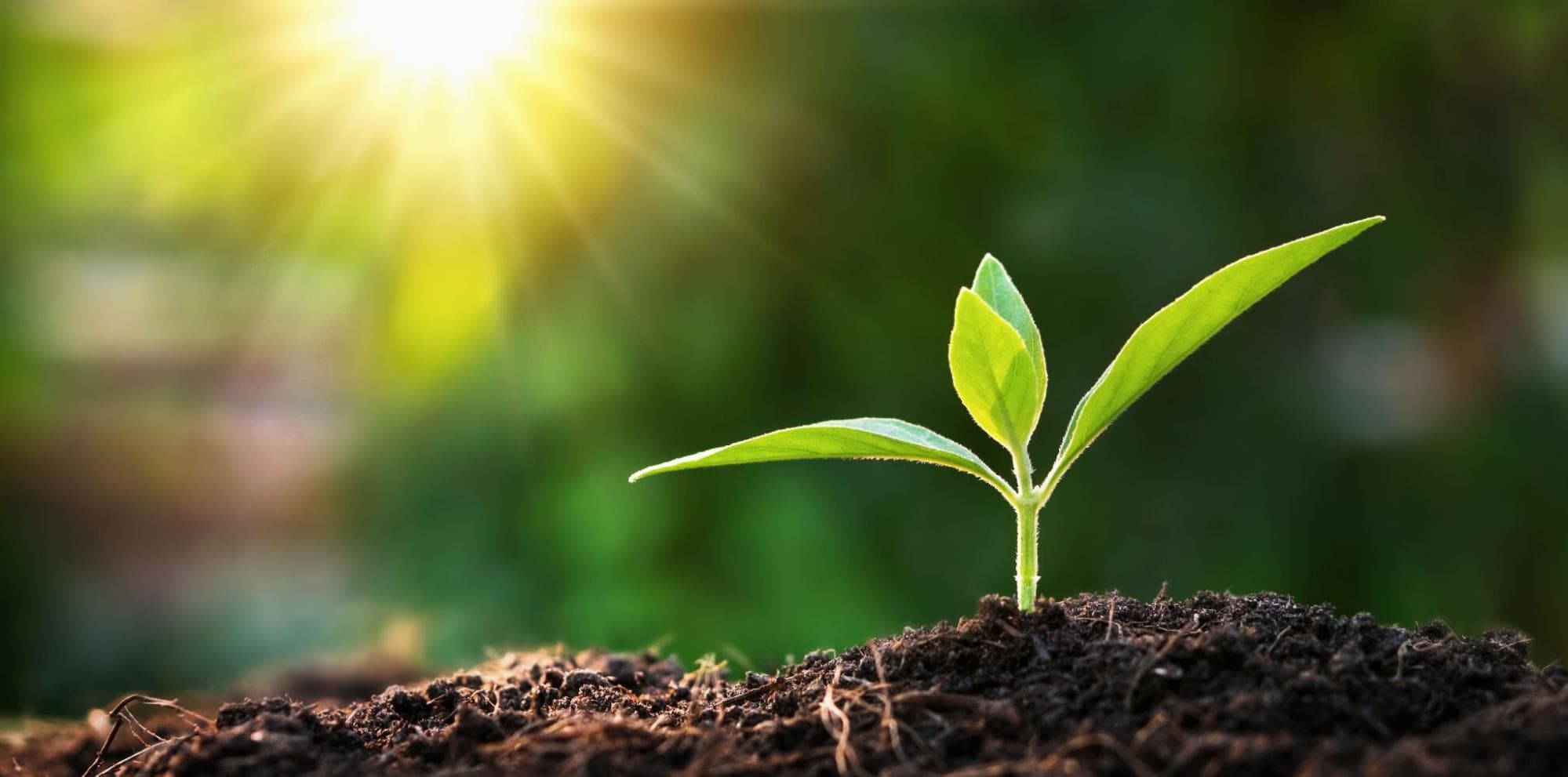 Grow with Purpose